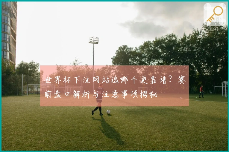 世界杯下注网站选哪个更靠谱？赛前盘口解析与注意事项揭秘