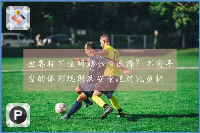 世界杯下注网站如何选择？不同平台的体彩规则及安全性对比分析