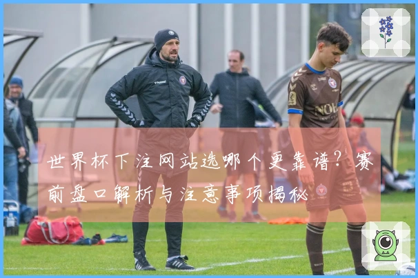 世界杯下注网站选哪个更靠谱？赛前盘口解析与注意事项揭秘